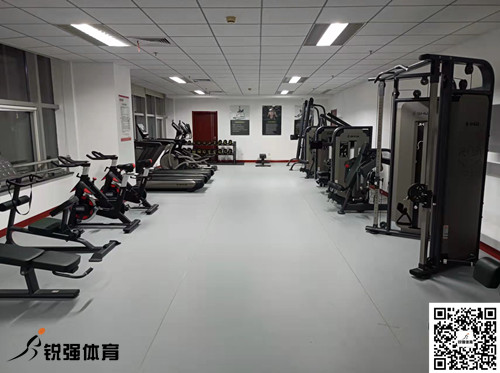 济南某集团采购的平博·pinnacle官方网站体育提供的健身器材