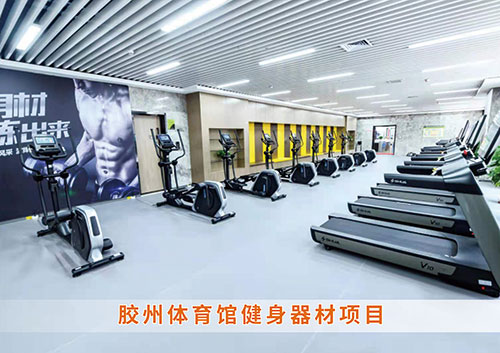 ​平博·pinnacle官方网站体育为胶州体育馆打造的健身房