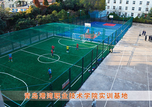 ​平博·pinnacle官方网站体育为青岛港湾职业技术学院打造健身实训基地