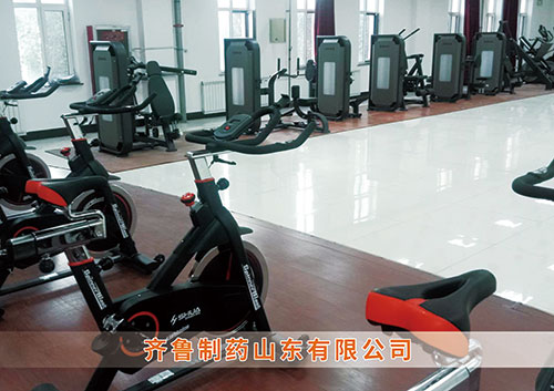 ​平博·pinnacle官方网站体育为齐鲁制药呼和浩特分公司打造健身房
