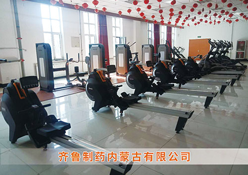 平博·pinnacle官方网站体育为​齐鲁制药内蒙古分公司打造健身房