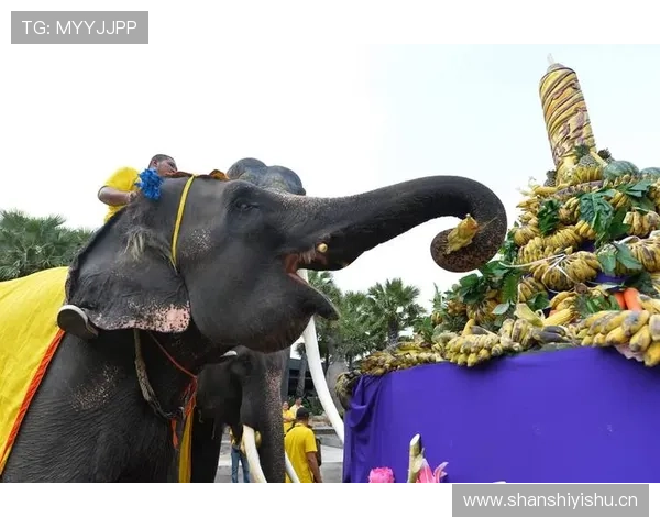 泰国队大象标志 泰国队大象标志
